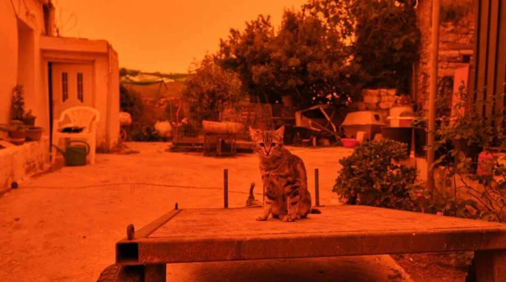 EN IMÁGENES. Grecia se tiñe de color naranja y amarillo