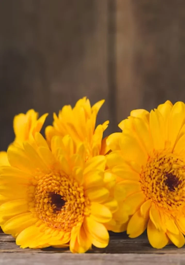 Flores amarillas. Foto: Freepik