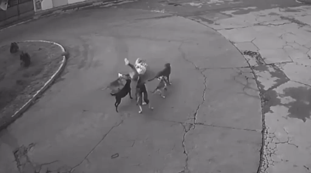 El suceso ocurrió en Ixtapaluca. (Foto: Redes sociales)