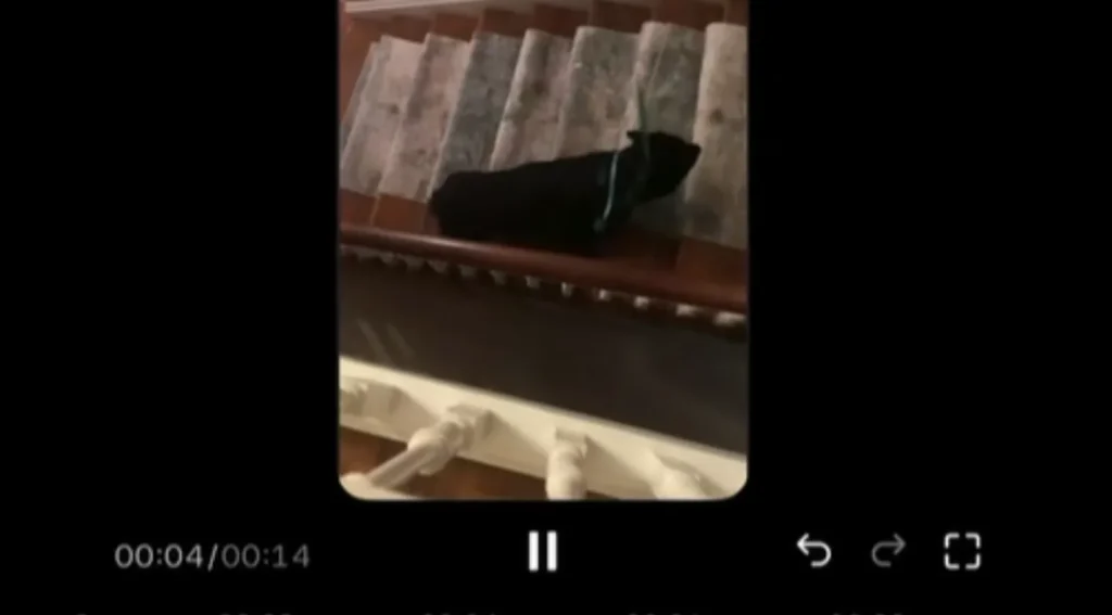 Mujer afirma que su Airbnb estaba “embrujado” y sus videos se vuelven virales en TikTok. Foto: captura TikTok