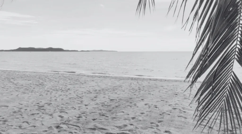 Muere influencer de 41 años; hallan su cuerpo en la playa. Foto: Freepik