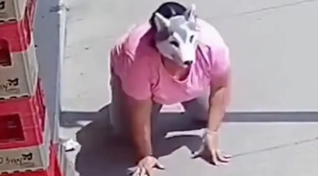 Tendencia "Therian". Foto: captura de pantalla