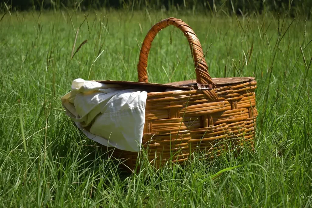 Picnic. Foto: Pixabay