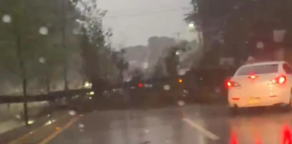 Árbol bloquea paso hacia Antigua Guatemala este domingo