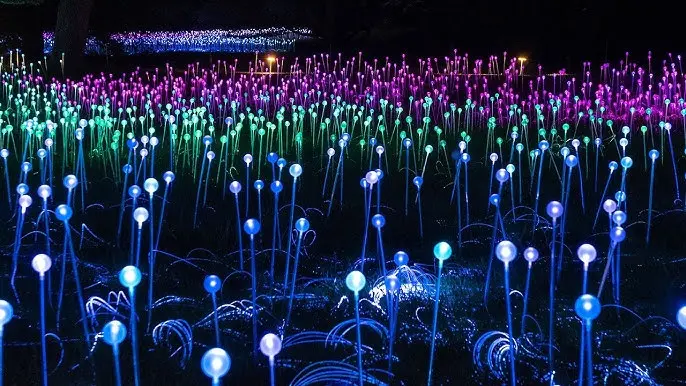Luces, arte y naturaleza: así es el mágico Bosque Encantado de Antigua Guatemala Foto: YouTube/Ilustrativa