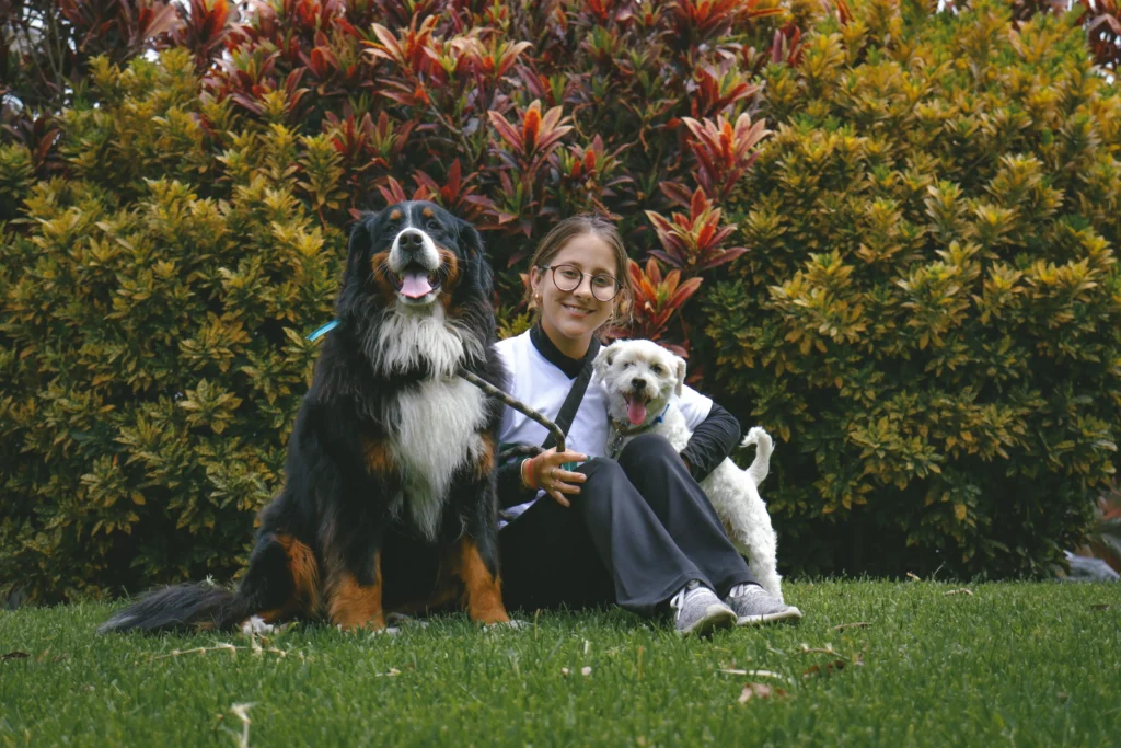 Guía práctica para prolongar la vida de tu perro con bienestar
