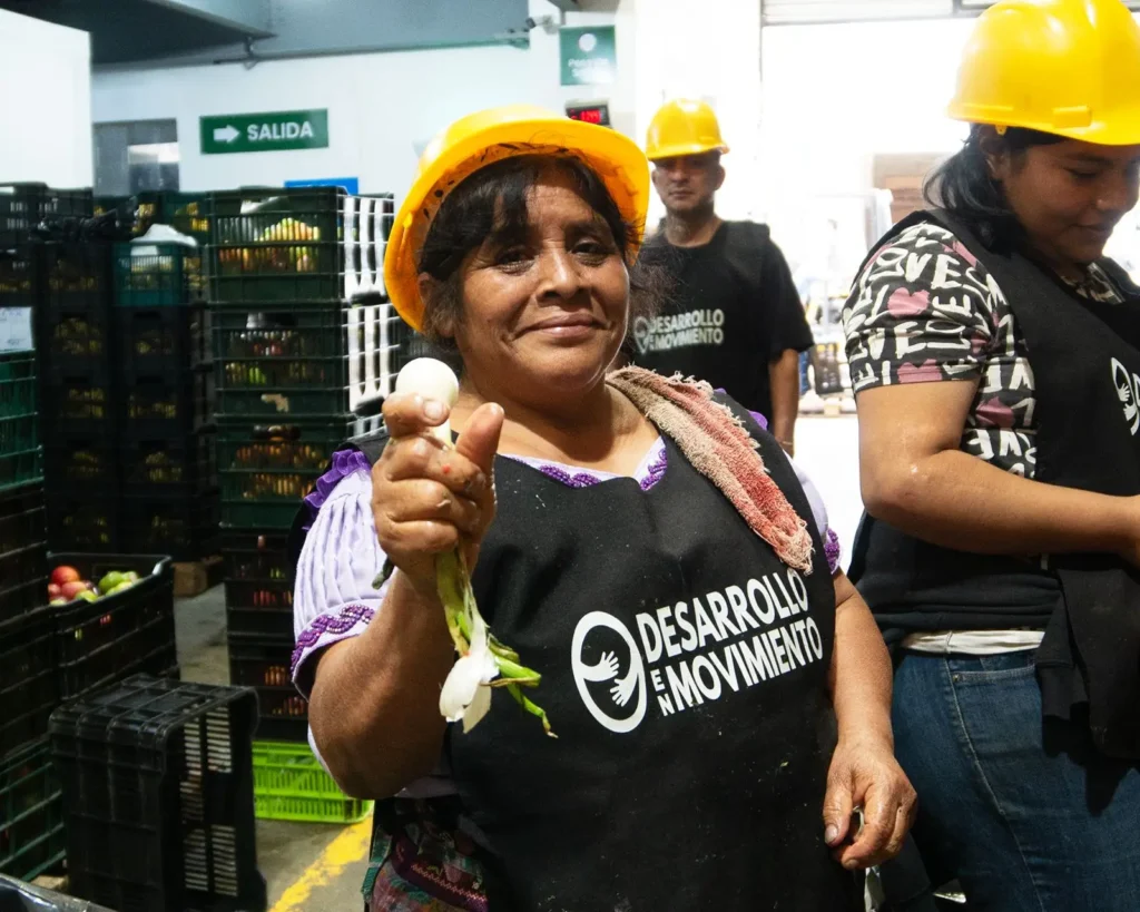 Más de 1.8 millones de libras de alimentos fueron rescatadas en Guatemala durante 2026 Desarrollo en Movimiento rescata más de 1.8 millones de libras de alimentos agrícolas durante el primer semestre de 2026. Foto: Cortesía