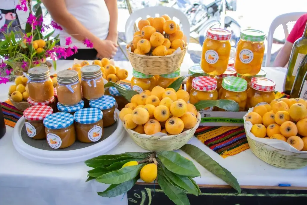¡Del níspero a la mesa! Anuncian festival en San Juan del Obispo con productos fuera de lo común Níspero festival. Foto: La Antigua Guatemala