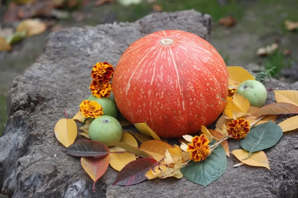 ¡El otoño llega a Xela! Calabazas, fotografías y sabores de temporada en el Pumpkin Patch 2026 ¡El otoño llega a Xela! Calabazas, fotografías y sabores de temporada en el Pumpkin Patch 2026. Foto: Pixabay