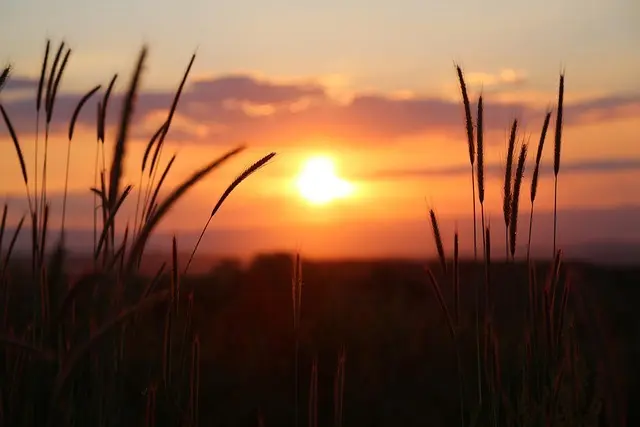 Atardecer. Foto: pixabay